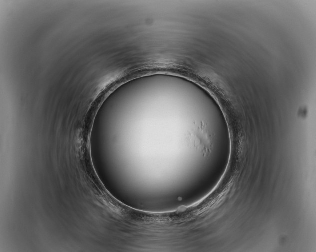 X0000100211210200806061338