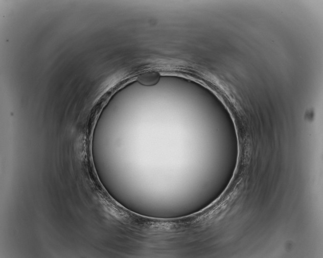 X0000100211211200806061338