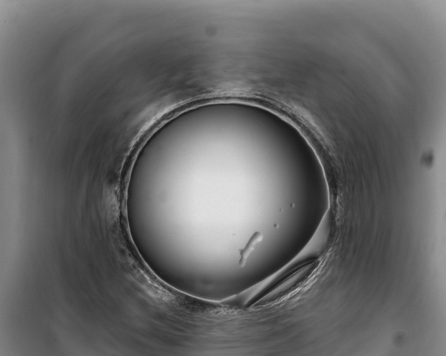 X0000100211212200806061338