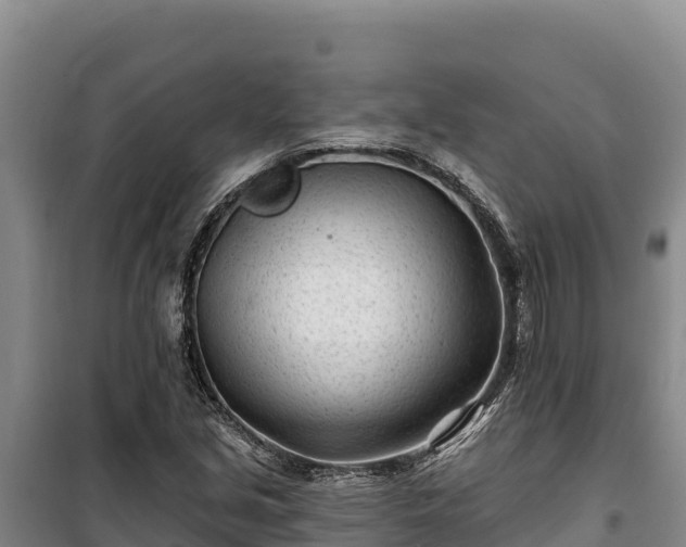 X0000100211213200806061338