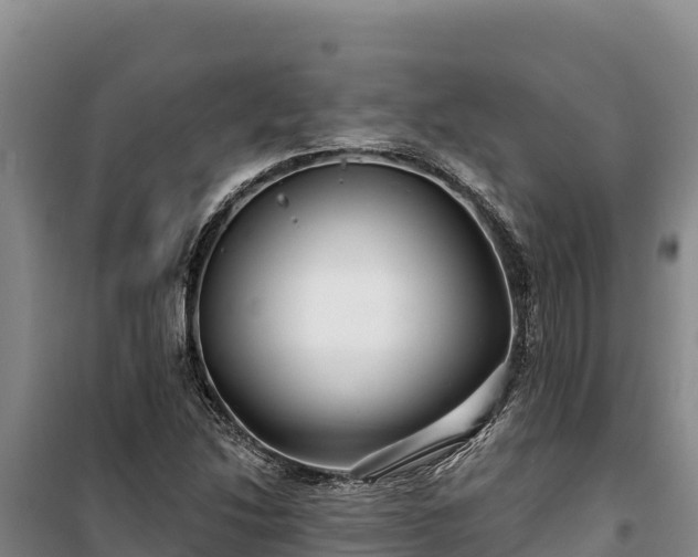 X0000100211214200806061338