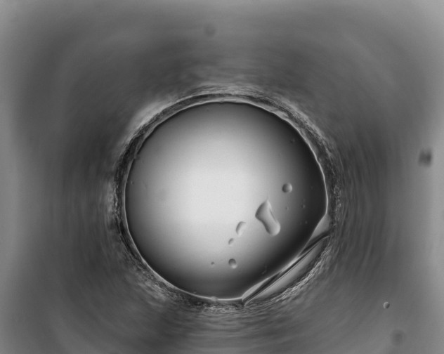 X0000100211215200806061338