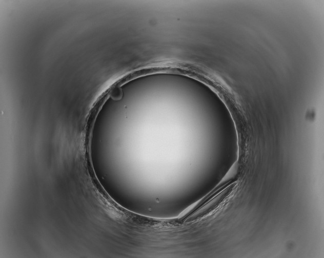 X0000100211216200806061338