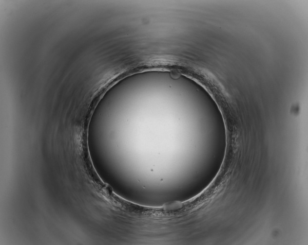 X0000100211217200806061338