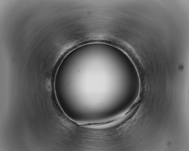 X0000100211218200806061338