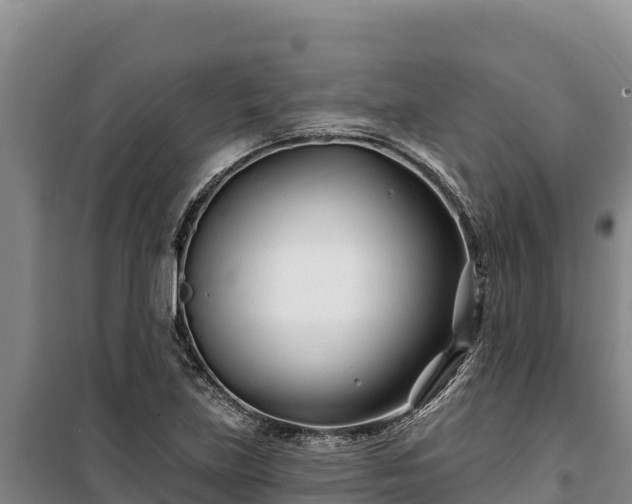 X0000100211219200806061338