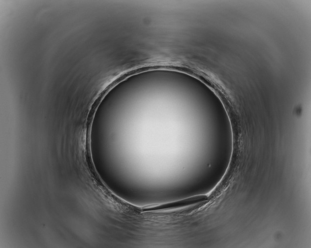 X0000100211220200806061338