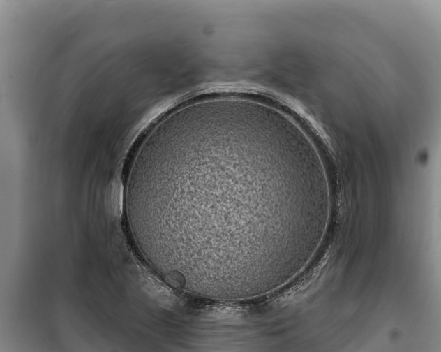 X0000100211221200806061338