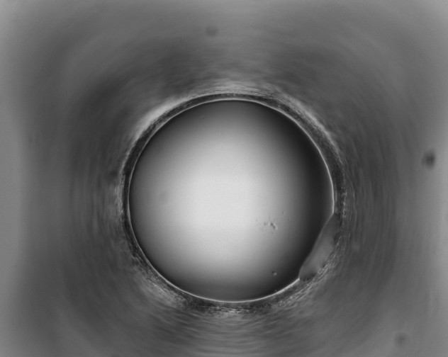 X0000100211222200806061338