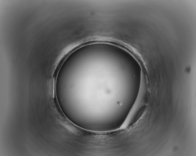 X0000100211223200806061338