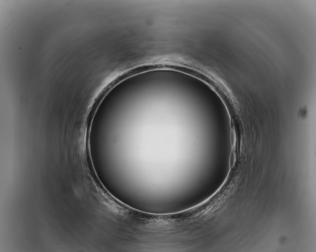 X0000100211224200806061338