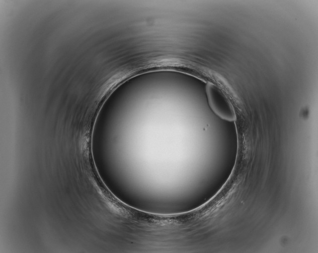 X0000100211225200806061338