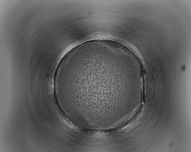 X0000100211226200806061338