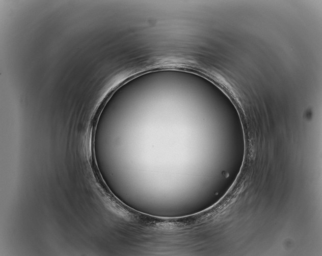 X0000100211227200806061338