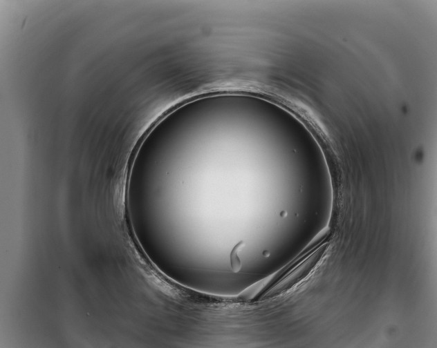 X0000100211228200806061338