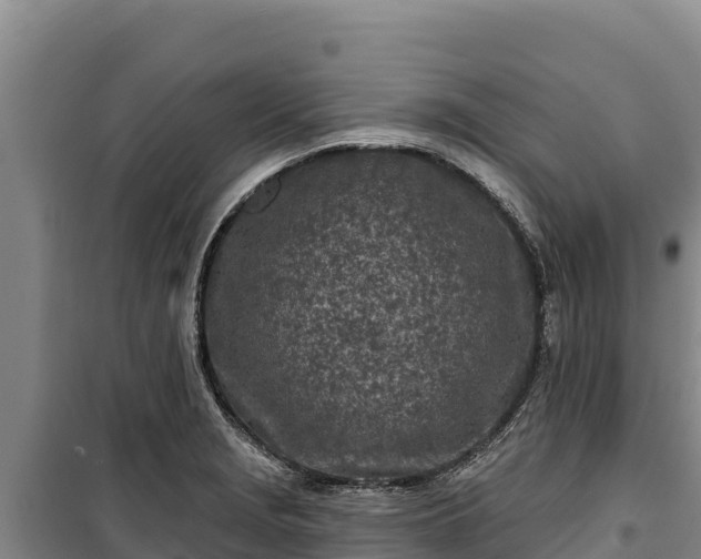 X0000100211229200806061338