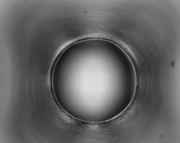 X0000100211230200806061338