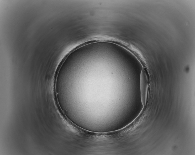 X0000100211231200806061338