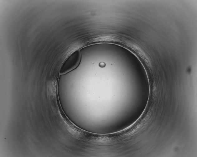 X0000100211233200806061338