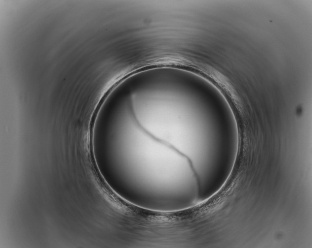 X0000100211234200806061338