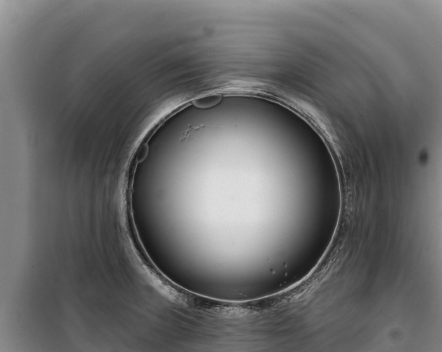 X0000100211235200806061338