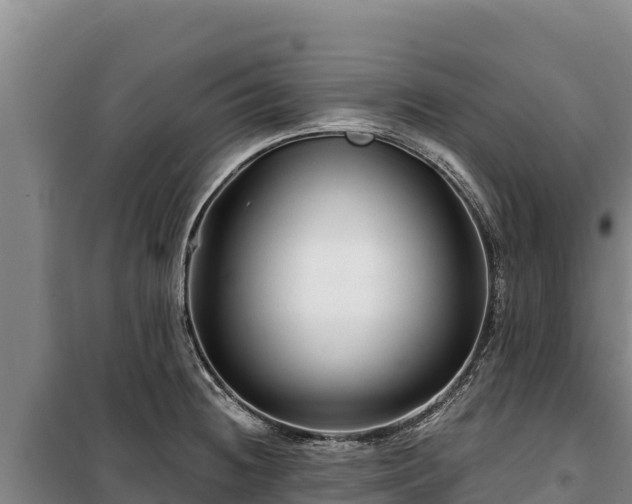 X0000100211236200806061338