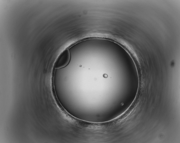 X0000100211237200806061338