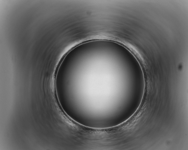 X0000100211238200806061338