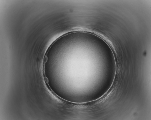 X0000100211239200806061338