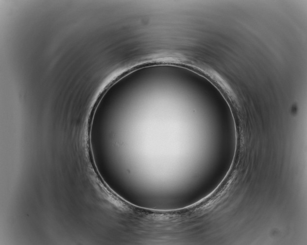 X0000100211240200806061338