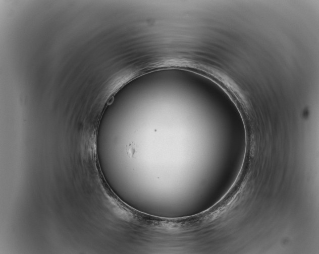 X0000100211241200806061338