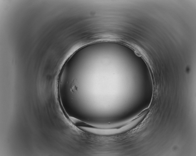 X0000100211243200806061338