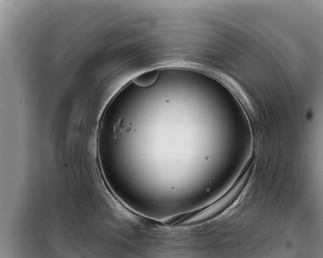 X0000100211244200806061338