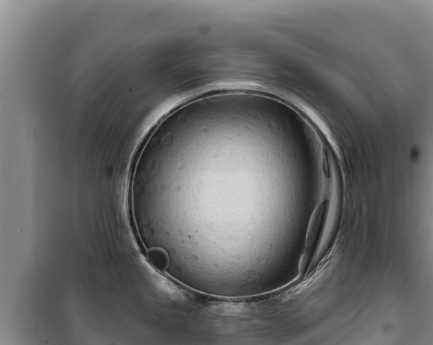 X0000100211245200806061338