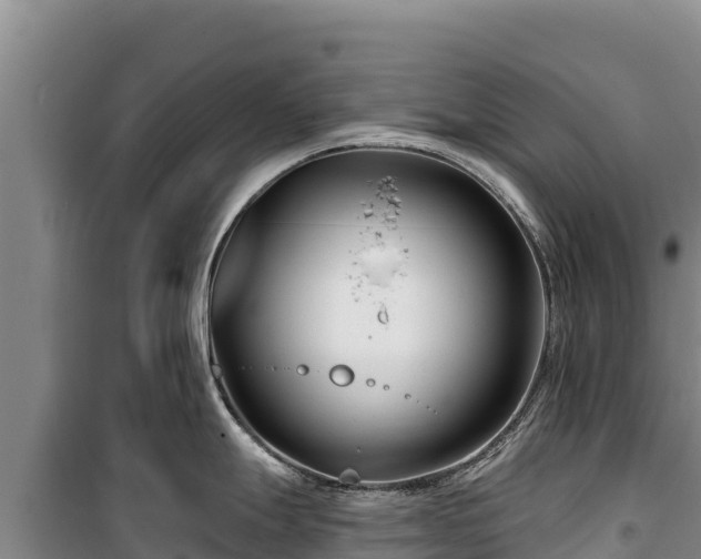 X0000100211247200806061338