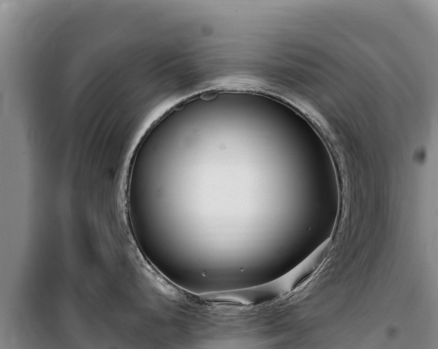 X0000100211248200806061338