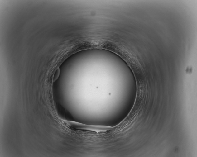 X0000100211249200806061338