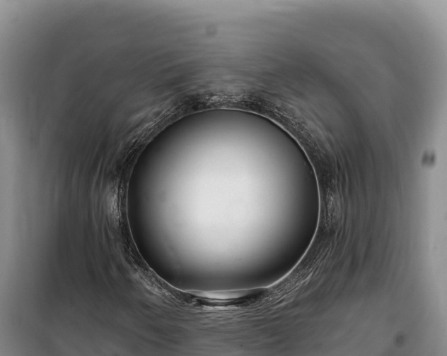 X0000100211250200806061338