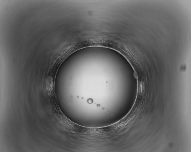 X0000100211251200806061338