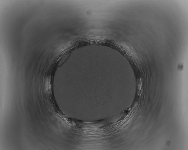 X0000100211252200806061338