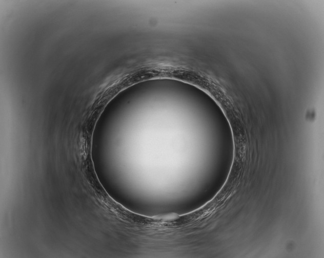 X0000100211253200806061337