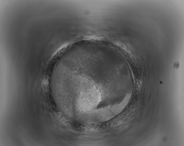 X0000100211254200806061337