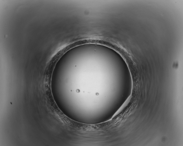 X0000100211255200806061337