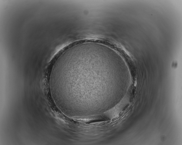 X0000100211256200806061337