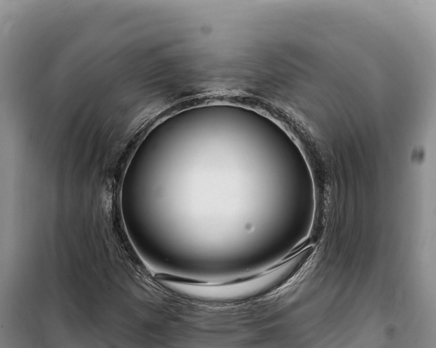 X0000100211257200806061337