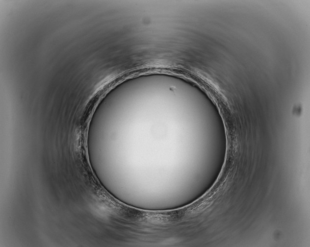 X0000100211258200806061337