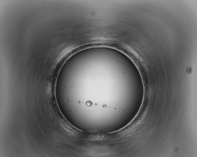 X0000100211259200806061337