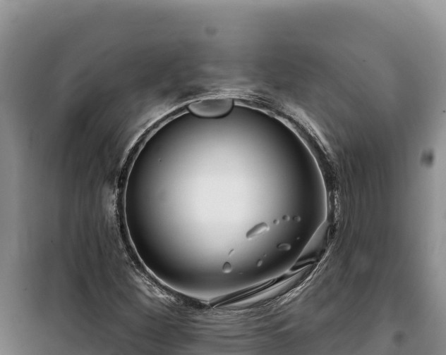 X0000100211260200806061337