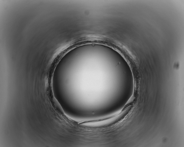 X0000100211261200806061337