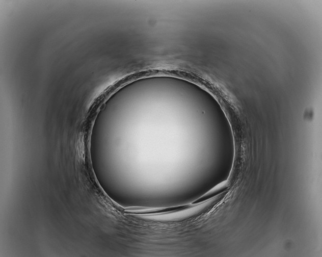 X0000100211262200806061337